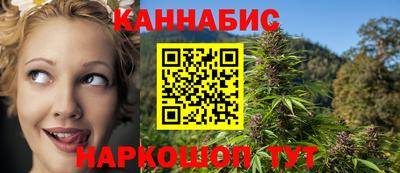 шишки Будённовск