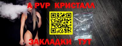 шишки Будённовск