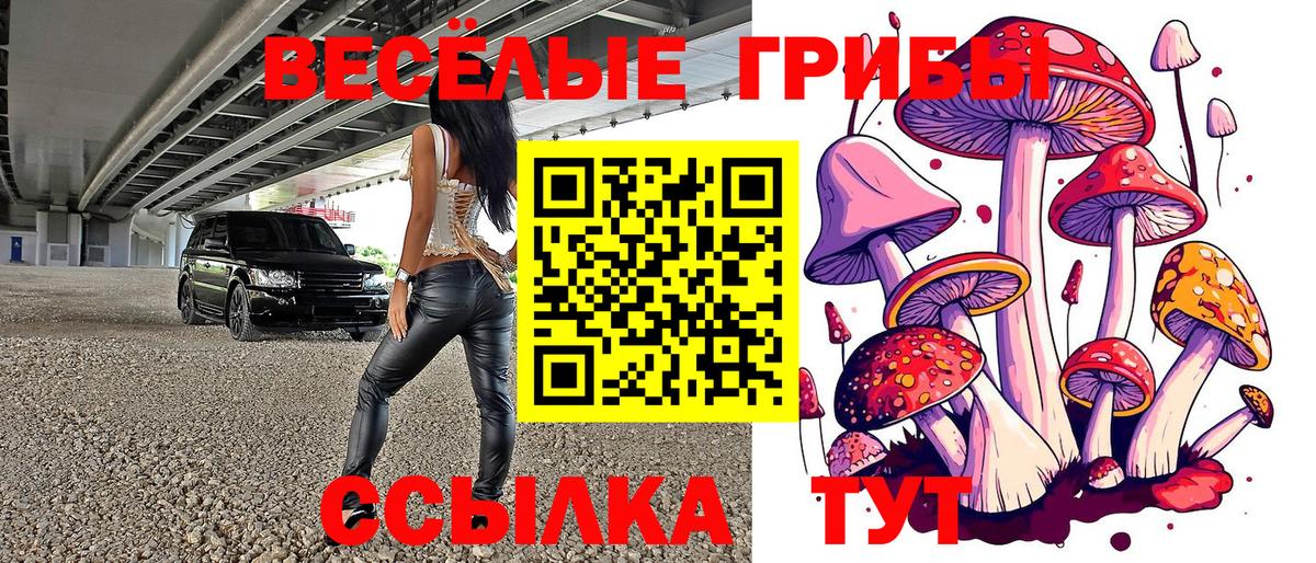 Псилоцибиновые грибы мухоморы  Вход с VPN  Тында 