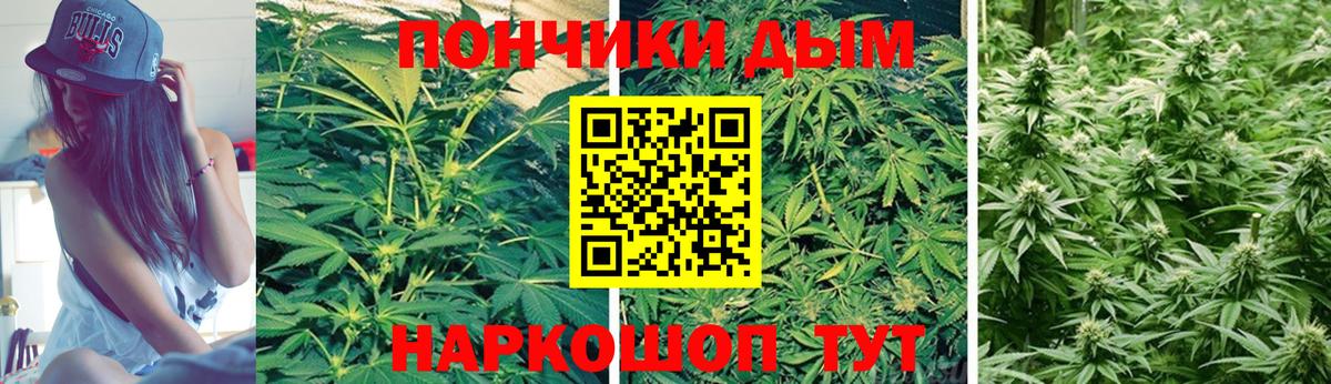 Канабис гибрид  Канабис планчик  Каннабис Amnesia  Тында  Вход с VPN 